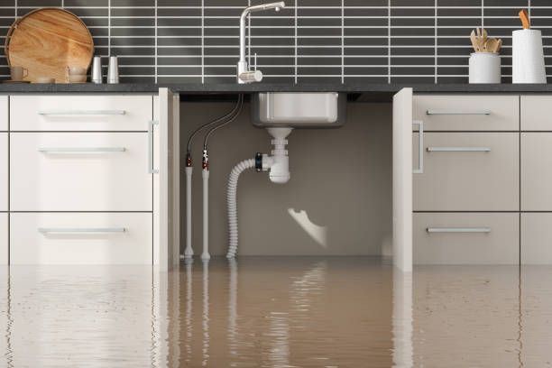  Good Hope, AL Water damage restoration Pros